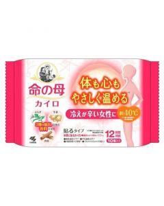 小林製薬命之母生理用貼式暖包 10'S