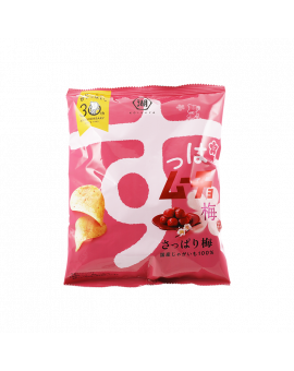 湖池屋薯片-清爽梅子味 55G
