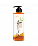 皂皂果首烏無患子洗髮精 500ML