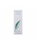 綠茶香水噴霧 50ML