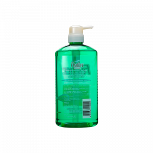 飛逸清爽洗髮露 750ML