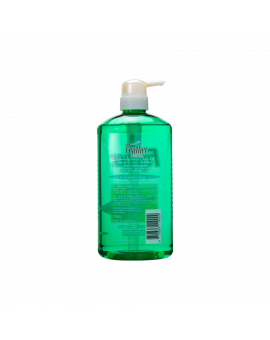 飛逸清爽洗髮露 750ML