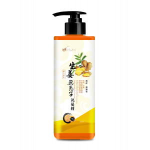 皂皂果生姜無患子洗髮精 500ML