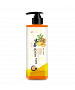 皂皂果生姜無患子洗髮精 500ML