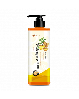 皂皂果生姜無患子洗髮精 500ML